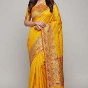 Pure Dola silk fabric saree with heavy jarkan border with jarkan pallu and contrast heavy blouse
